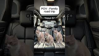 Cat memes 🐱 Family road trip catmemes relatable cat catshorts shorts family roadtrip [upl. by Idolah982]