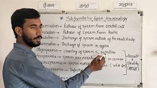 Male Reproductive System Terminology l Terminology for Male Reproductive System l मानव जनन तंत्र [upl. by Corrianne]