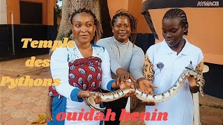 Temple des pythons de Ouidah ouidah benin bénin cotonou🇧🇯 [upl. by Apicella]