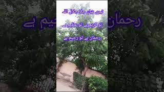 Allah azeem h allah bara ha Islamic status viral short youtebeshrots [upl. by Lohner]