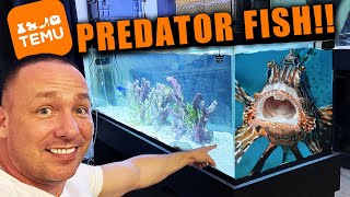 I built a saltwater predator fish tank with only TEMU aquarium products [upl. by Arnold]