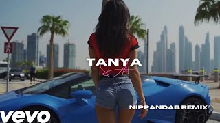 Tayna  Si Ai  Nippandab Remix Video [upl. by Icart326]