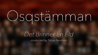 Osqstämman  Det Brinner En Eld [upl. by Auqinaj85]