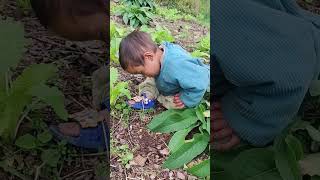 The human cub fell asleep while playing The daily life of the cute baby is so funny [upl. by Manoop2]