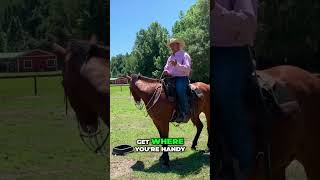 Master Herding Cattle Secrets of the Pros horses horseeducation cowboys horseriding horse [upl. by Eudora818]