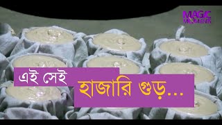 এই সেই হাজারি গুড় Hazari Gur of Manikganj [upl. by Eckardt461]