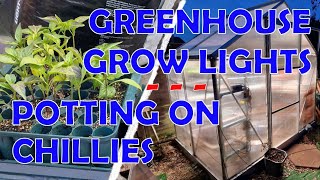 Setting Up the Greenhouse Lights amp Potting on Chillies [upl. by Llehctim359]