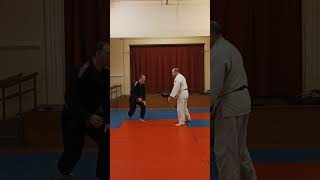 Tsuki kaiten nage nottinghamshire martialarts greasleychurchhall [upl. by Minette220]