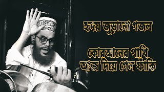 কোরআনের পাখি আজ দিয়ে গেল ফাঁকি । Quraner pakhi aj diye gelo faki ।। Bangla Nasheed ।। [upl. by Acinomahs]