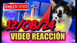 VIDEO REACCION 120824 EN VIVO [upl. by Liebowitz538]