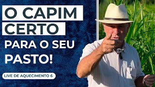 VEJA NESSE VÍDEO COMO ESCOLHER O CAPIM CERTO PARA O PASTO E DOBRAR A RENTABILIDADE DA SUA FAZENDA [upl. by Hinch]