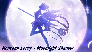 Nolwenn Leroy  Moonlight Shadow SpeedUp  Nightcore Remix [upl. by Ainar]