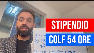 Stipendio Colf a 54 ore settimanali Ecco cosa devi sapere [upl. by Rickert]