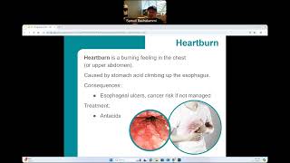 CG  BIO160  Digestive System Physiology and Pathology [upl. by Drofniw]