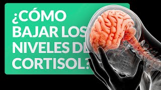 Ansiedad y Problemas Cardiacos ¿Tu Corazón Late Fuerte o es la Ansiedad Descúbrelo Aquí 🚩 [upl. by Esirrehc]