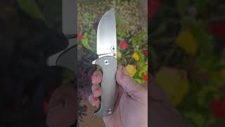 Byond EDC Asymmetrical Knives Chunk edc knifelife tools trending shorts foldingknife [upl. by Noirret]