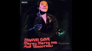 Marvin Gaye  Mercy Mercy Me The Ecology 1971 Soul Purrfection Version [upl. by Anya]