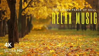 247 Relaxing Music For Stress Relief  Soothe Your Soul With Hssainis Meditation Music  Hssy 944 [upl. by Barbi]