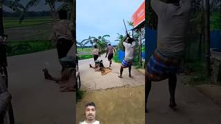 Funny cow shortvideofunnycomedy shortvideo [upl. by Suez]