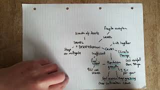 Sahel and Desertification AQA GCSE Geography [upl. by Auqenahc]