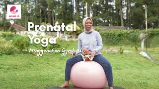 Prenatal Yoga dengan Gymball oleh Bidan Jamilatus Sadiyah [upl. by Kitti]