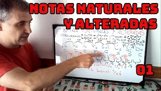 01 Notas Naturales y Alteradas [upl. by Feledy376]