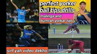 perfect yorker bowling tips how to parfact yorker in cricket [upl. by Neerual342]