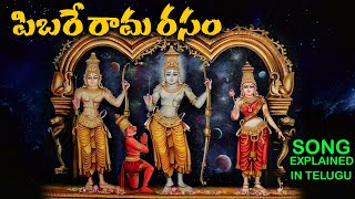 Pibare Rama Rasam  Song Explained in Telugu [upl. by Beilul]