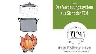 Das Verdauungssystem aus Sicht der TCM [upl. by Nyraa]