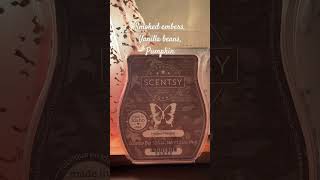 Scentsy Wax Review in 60  Hollow Harvest scentsywax scentsyclub [upl. by Eornom]