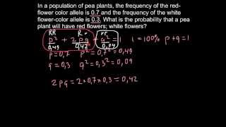 How to solve population genetics problems [upl. by Kalman641]