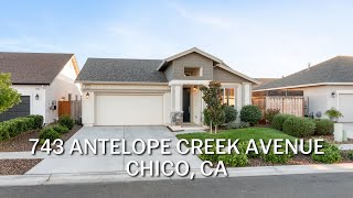 743 Antelope Creek Ave Chico [upl. by Bevis914]