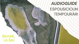 AUDIOGUIDE PRO  Espousicioun tempouràri  Espàci 14 [upl. by Scevor]