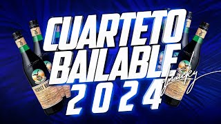 🔥🎉 CUARTETO BAILABLE 2024 REMIX  DJ NAICKY 2024 🎉🔥 [upl. by Aurie]