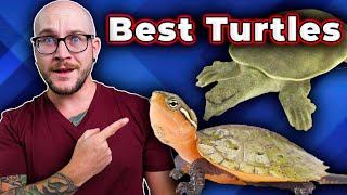 The BEST Pet Turtles You Probably Never Thought About [upl. by Mancino]