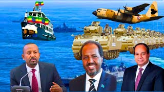 Daawo Warka itoobiya O Qaylisay Tidhina Xoogbaan Kusoo Gali Somalia Kamana Baxaayo Madax Ka Hadashay [upl. by Muhcon742]