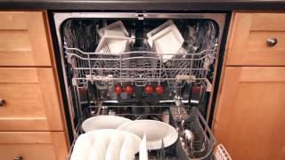 Glisten Dishwasher Magic [upl. by Yeldud]