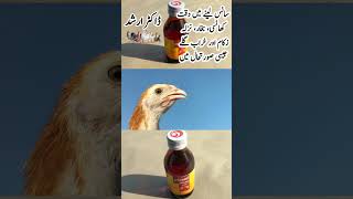 Catarrh Cough Labored breathing Cold Flu Sneezing and Fever Treatment in Poultry Birds [upl. by Sellma]