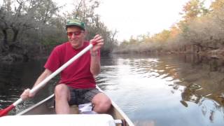 Canoeing on the Suwannee River [upl. by Laven874]