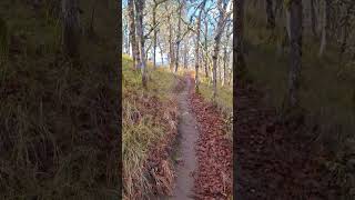 Lyle Cherry Orchard Trail Sunny warm beautiful [upl. by Acnalb]