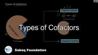 Types of Cofactors Biology Lecture  Sabaqpk [upl. by Rehpotsrihc]