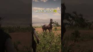 Best War Horses in RDR2 shorts reddeadredemtion2 [upl. by Ax]