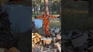 What is it woodchopping axe ootd jumpsuit help shorts woodsplitting funny [upl. by Ardath646]