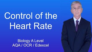 A Level Biology Revision Year 13 quotControl of the Heart Ratequot [upl. by Ikkiv]