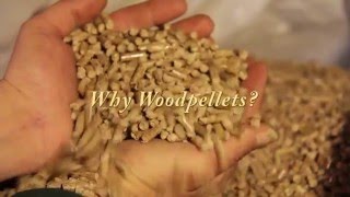 Heat with Wood Pellets and Reduce Your Carbon Footprint [upl. by Fink]