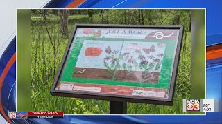 Lake of the Woods Storywalk trail features new story [upl. by Nosde111]