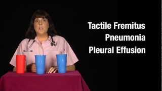 Tactile Fremitus Cups Demonstration [upl. by Brooking]