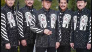 Los tigres del norte La mesa del rincón Lyrics [upl. by Ziul]