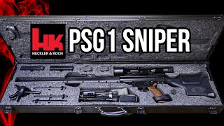 HampK PSG1 Sniper Rifle Overview [upl. by Lleynod]