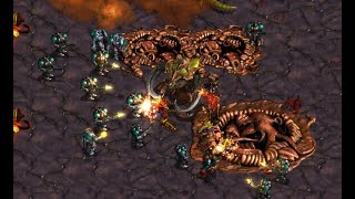 ⚡BEST OF FIVE⚡ FLASH 🇰🇷 T vs LARVA 🇰🇷 Z  StarCraft  Brood War REMASTERED [upl. by Nitz370]